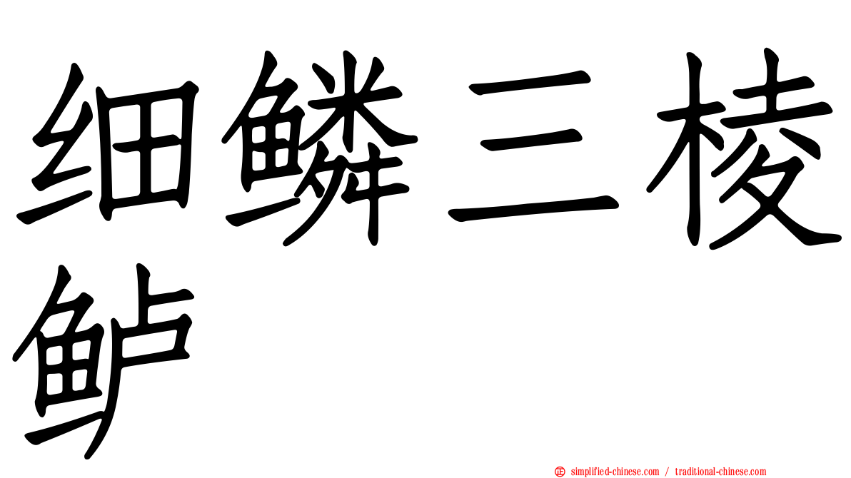 细鳞三棱鲈
