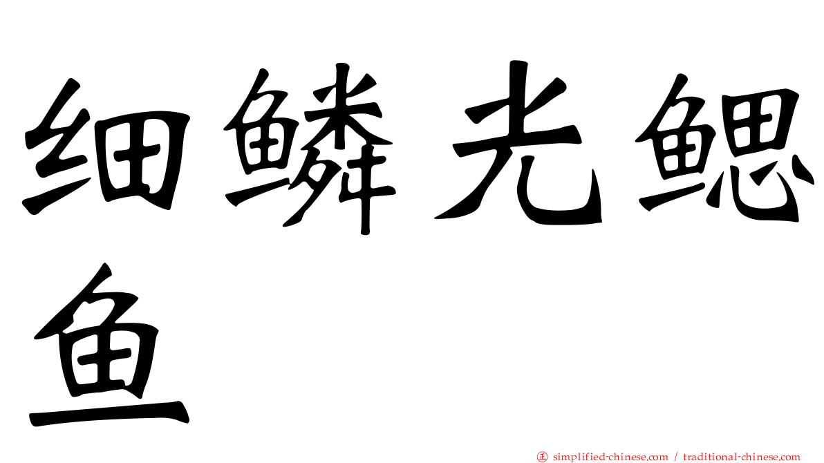 细鳞光鳃鱼