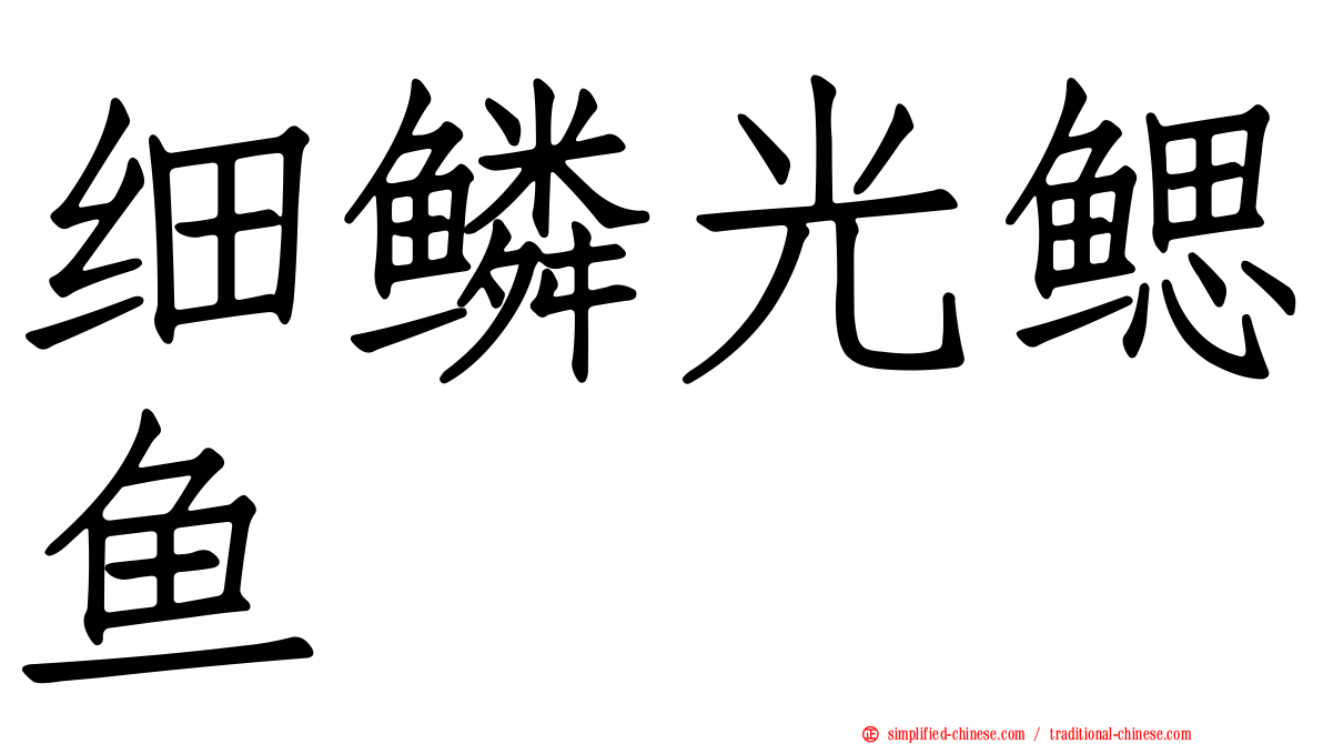 细鳞光鳃鱼
