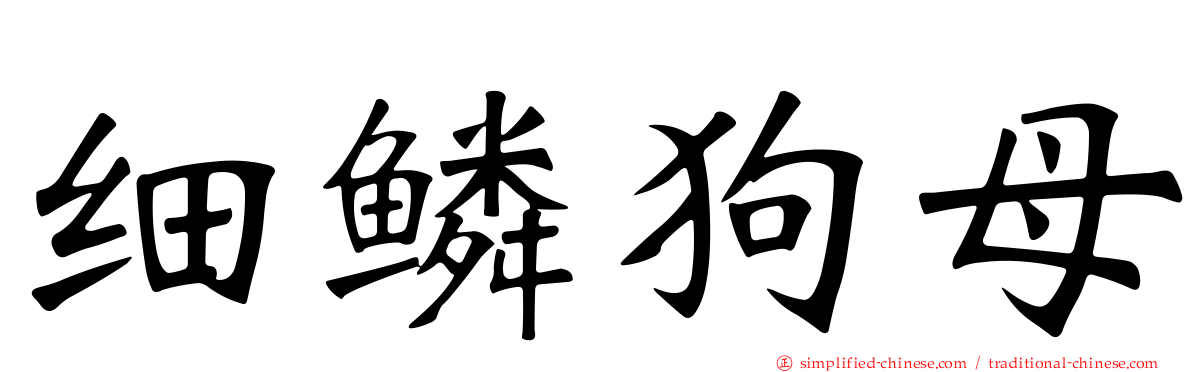细鳞狗母