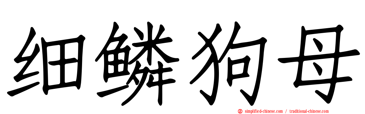 细鳞狗母
