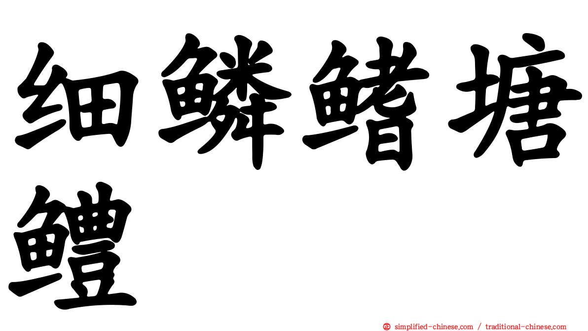 细鳞鳍塘鳢