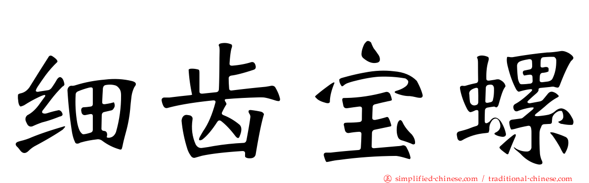 细齿宝螺