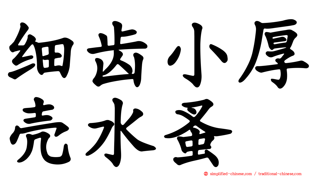 细齿小厚壳水蚤