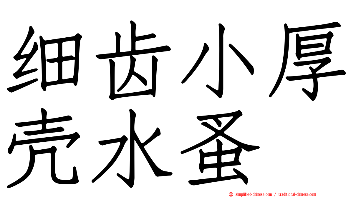 细齿小厚壳水蚤