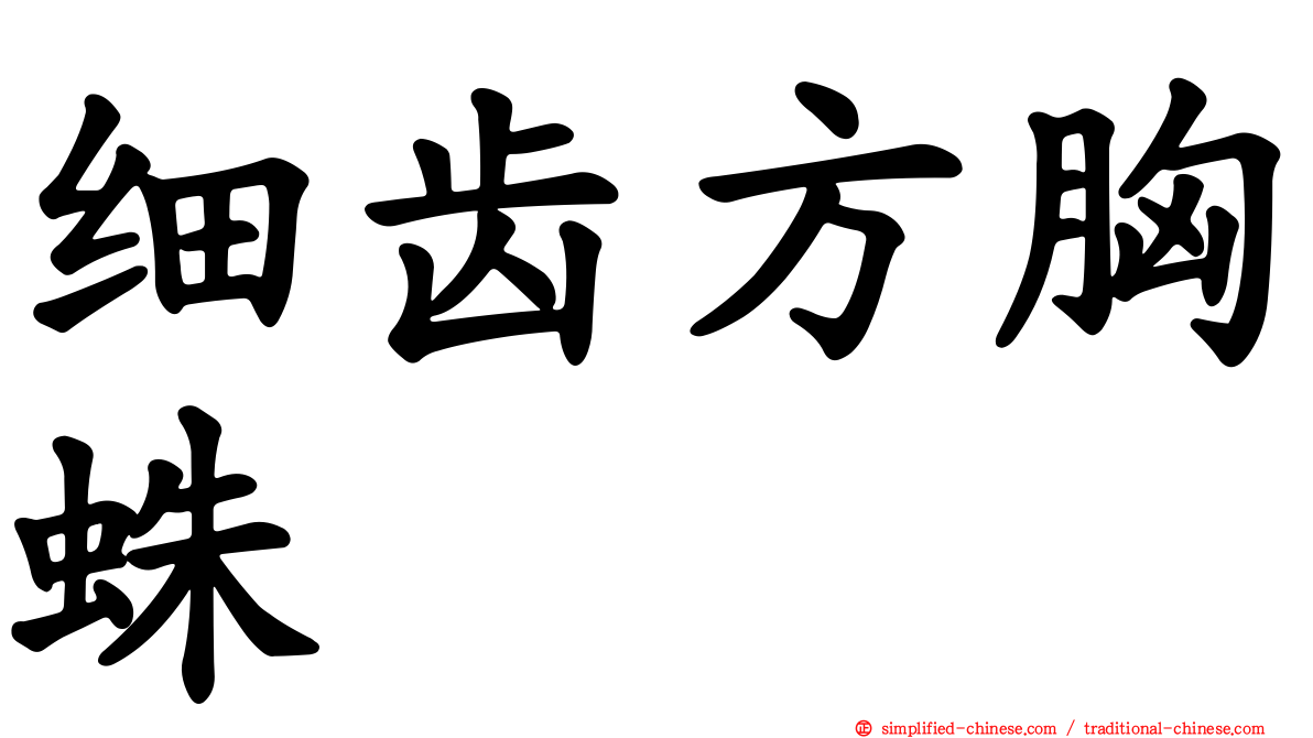 细齿方胸蛛