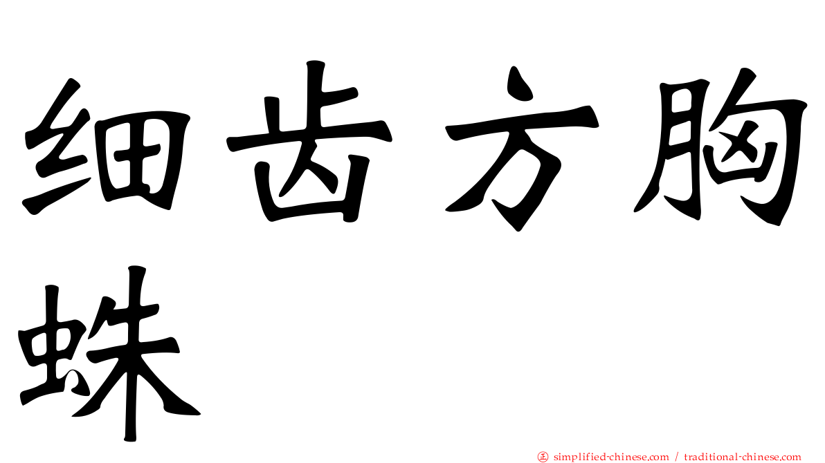 细齿方胸蛛