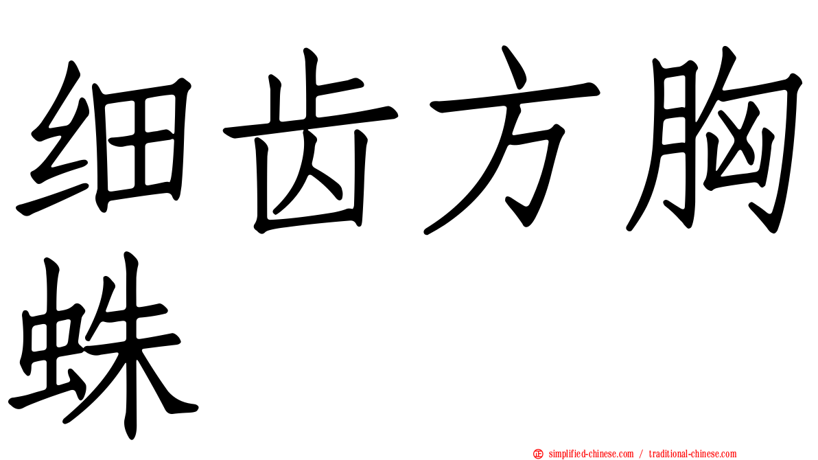 细齿方胸蛛