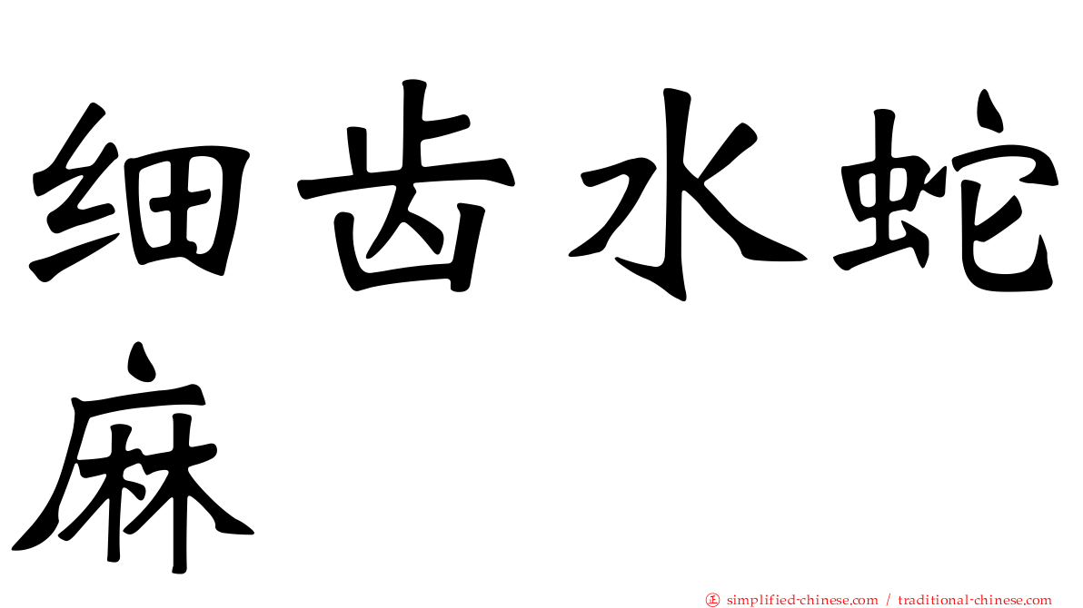 细齿水蛇麻
