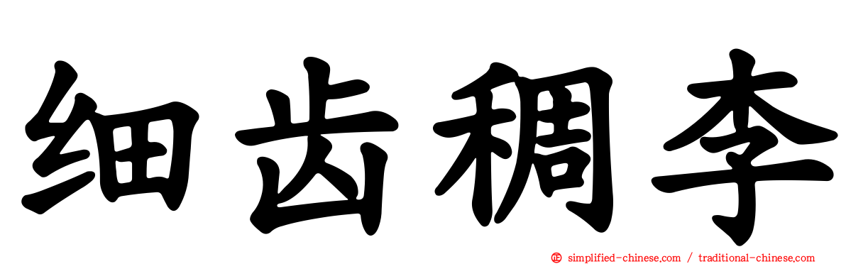 细齿稠李