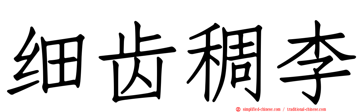 细齿稠李