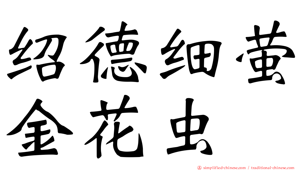 绍德细萤金花虫