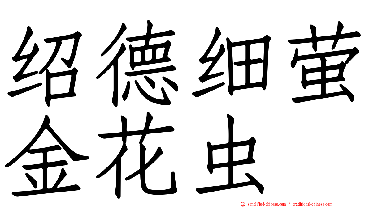 绍德细萤金花虫