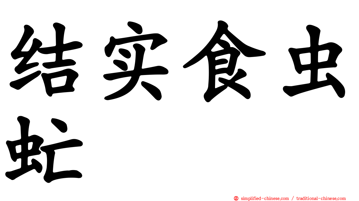 结实食虫虻