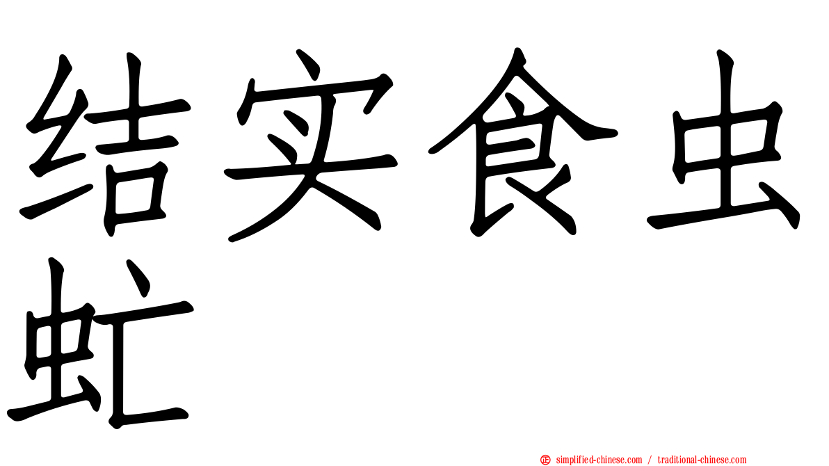结实食虫虻