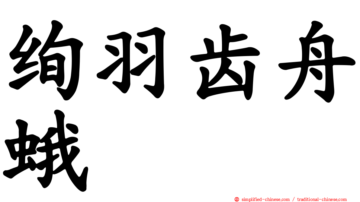 绚羽齿舟蛾