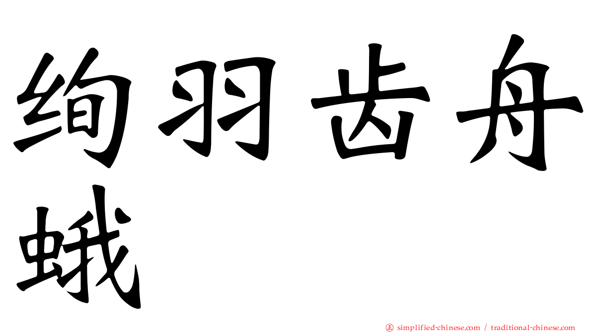 绚羽齿舟蛾