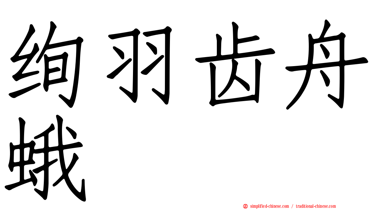 绚羽齿舟蛾