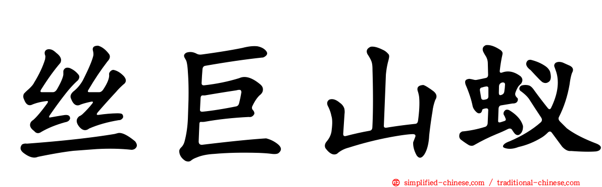 丝巨山蚁