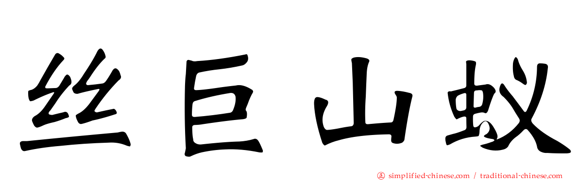 丝巨山蚁