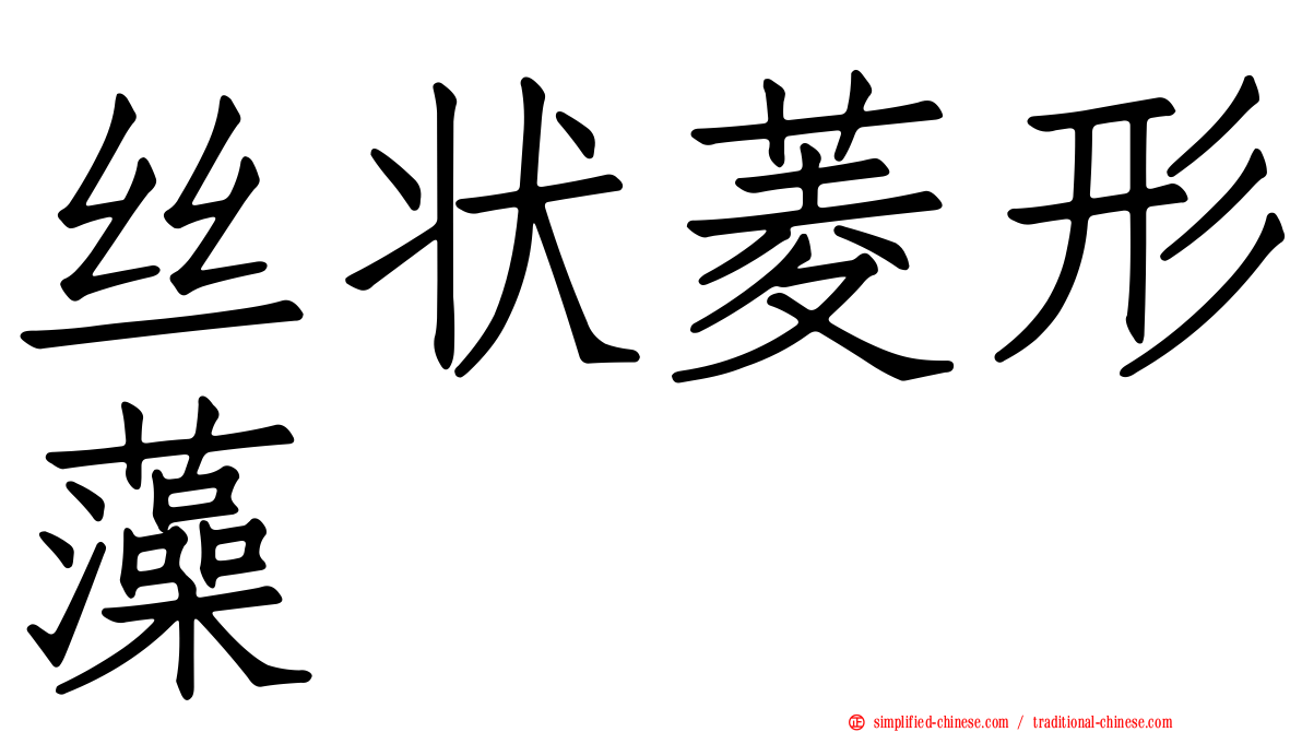 丝状菱形藻