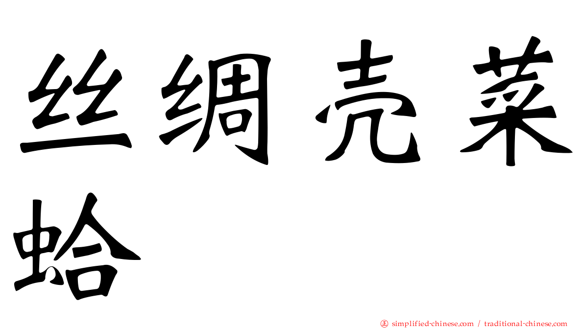 丝绸壳菜蛤
