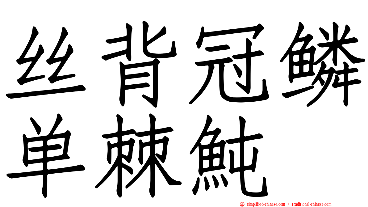 丝背冠鳞单棘鲀