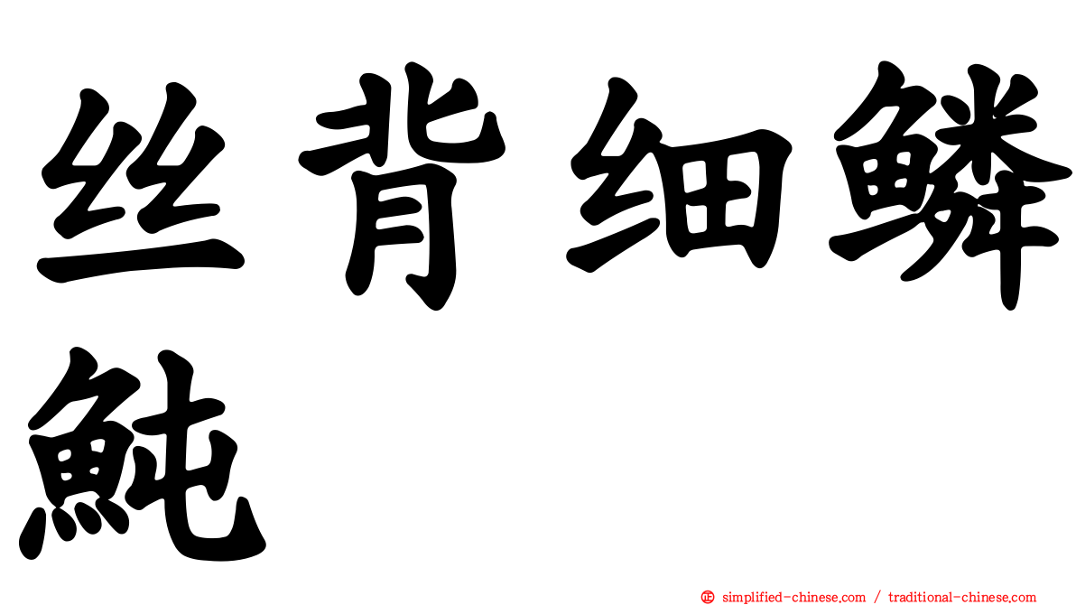 丝背细鳞鲀