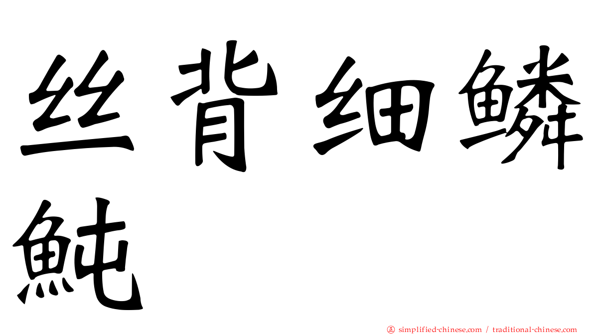 丝背细鳞鲀