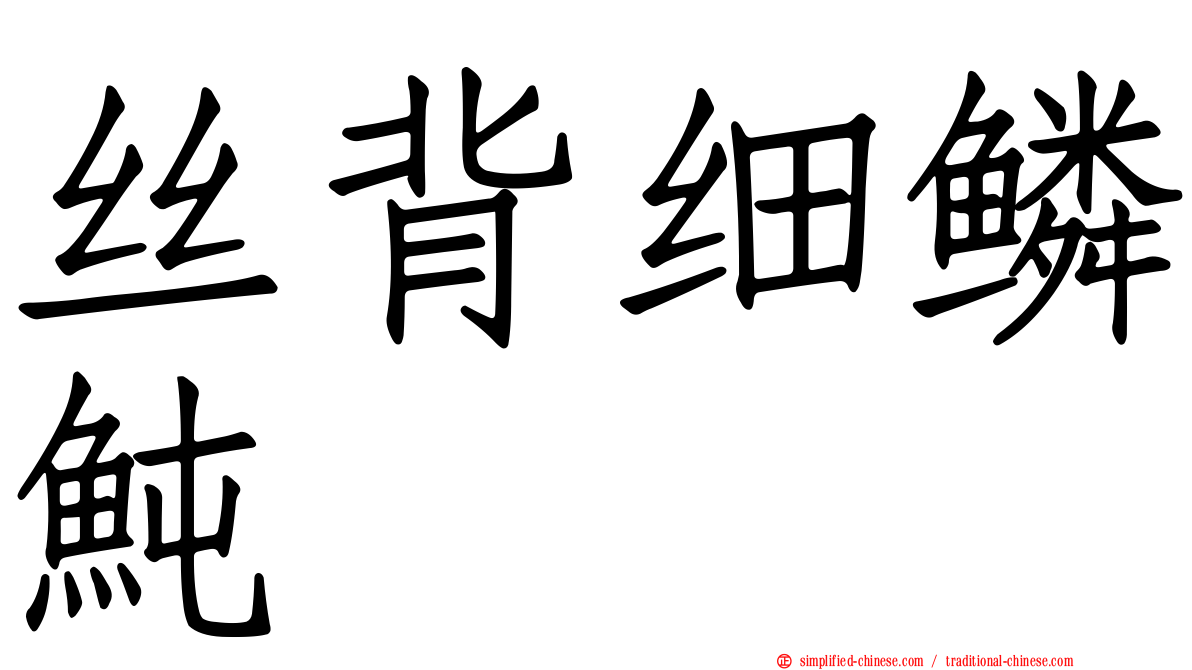 丝背细鳞鲀
