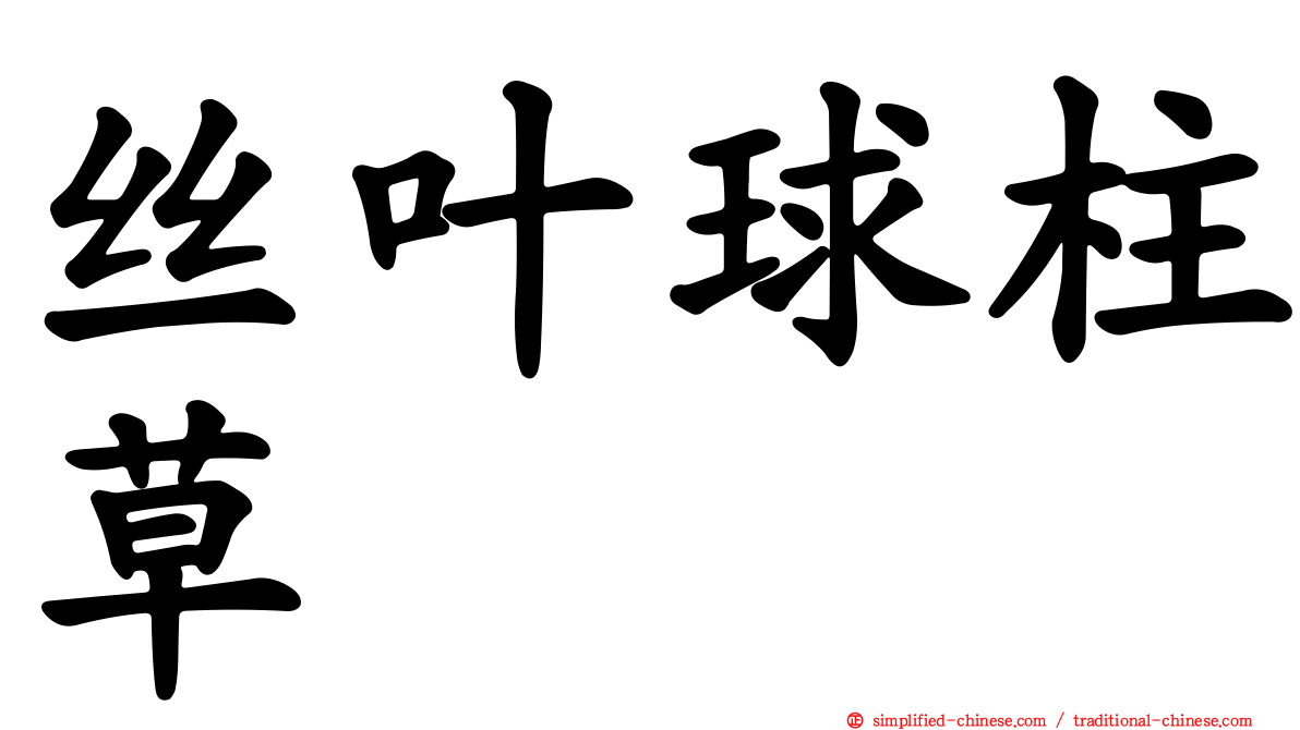 丝叶球柱草