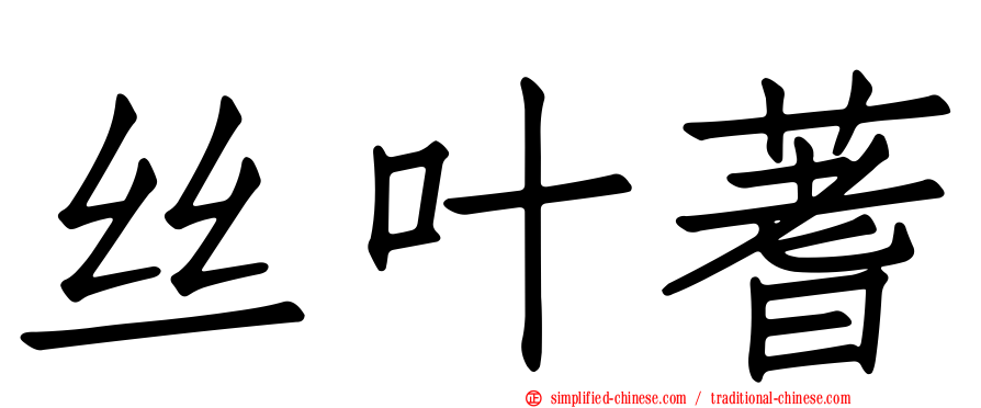 丝叶蓍