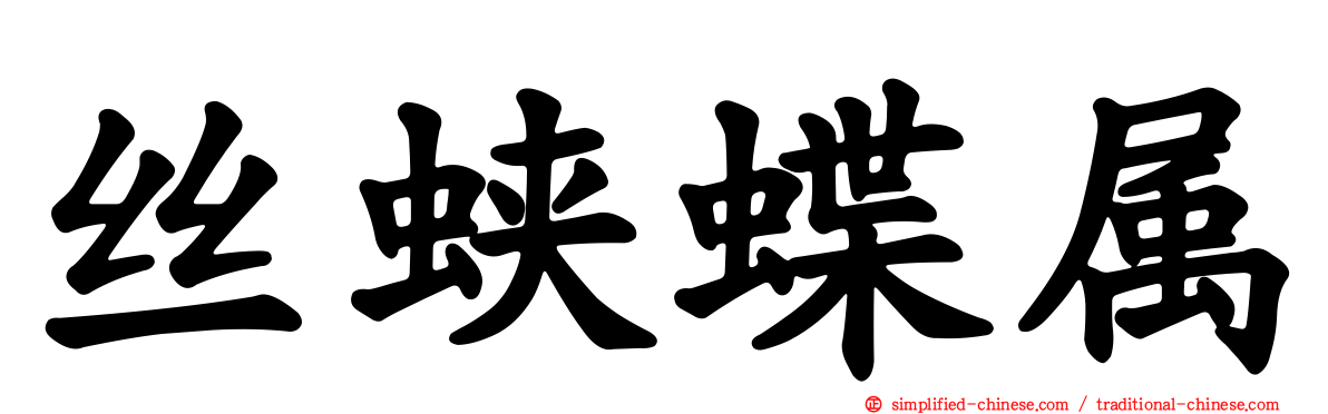 丝蛱蝶属