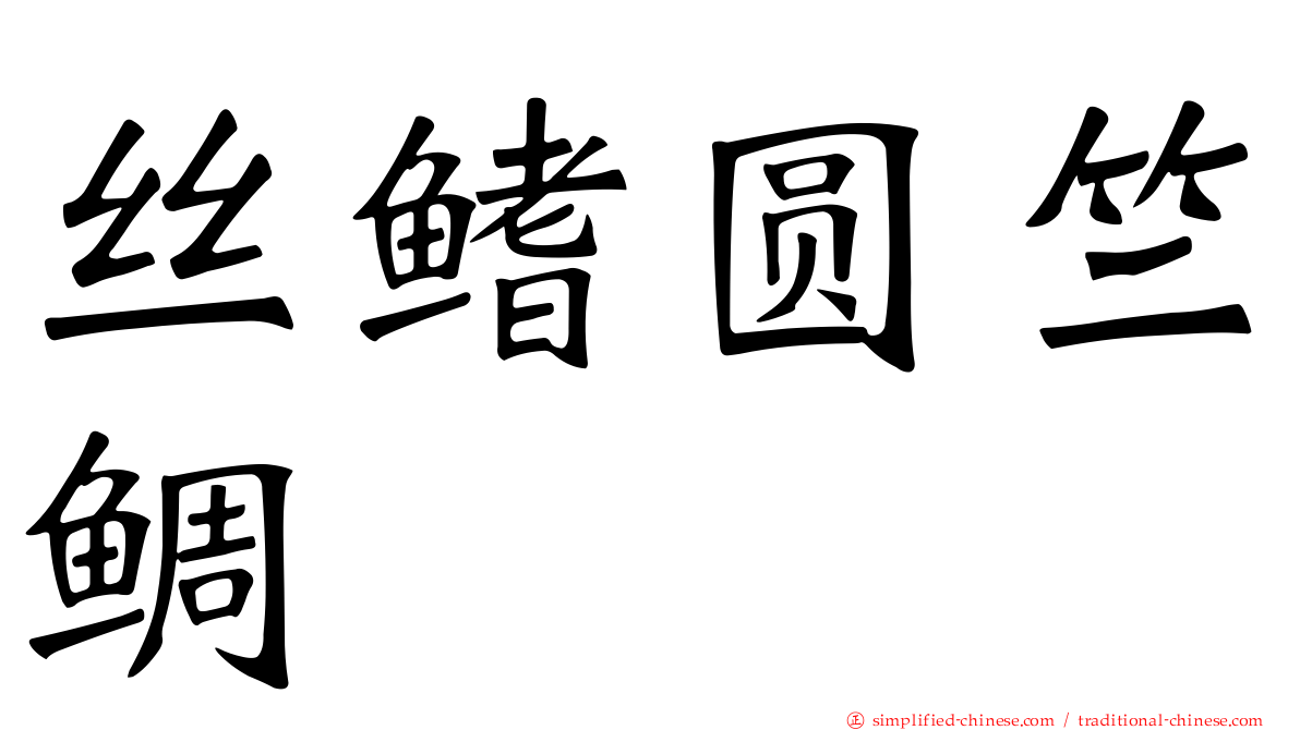 丝鳍圆竺鲷
