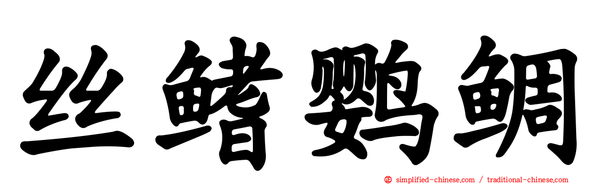 丝鳍鹦鲷