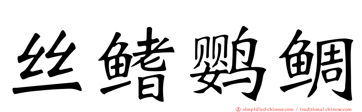 丝鳍鹦鲷