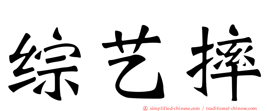 综艺摔