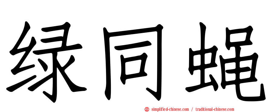 绿同蝇