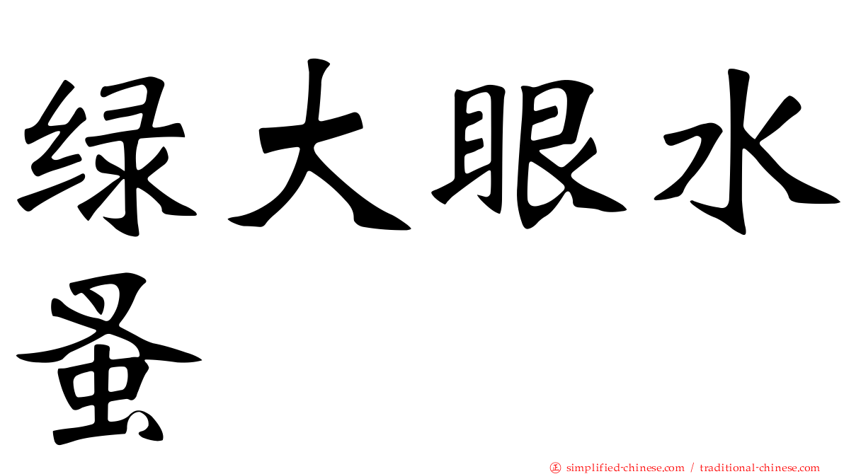 绿大眼水蚤