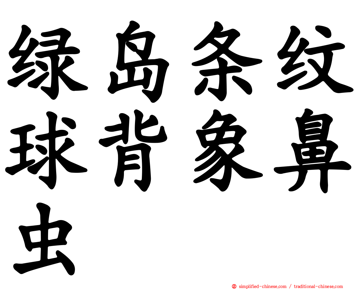 绿岛条纹球背象鼻虫