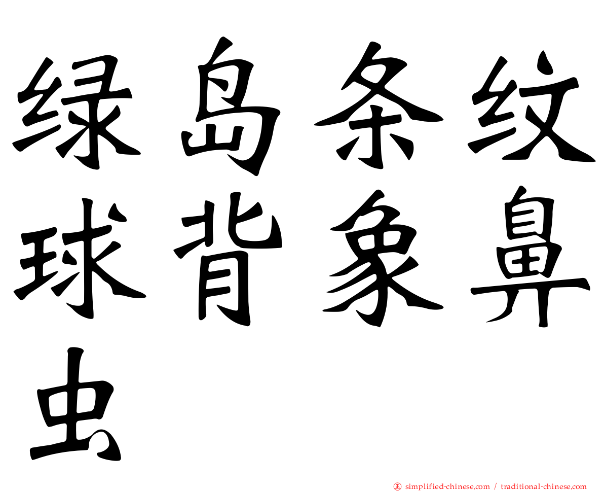 绿岛条纹球背象鼻虫