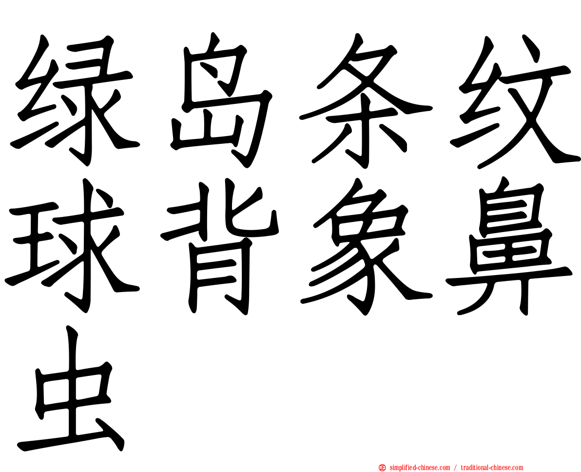 绿岛条纹球背象鼻虫