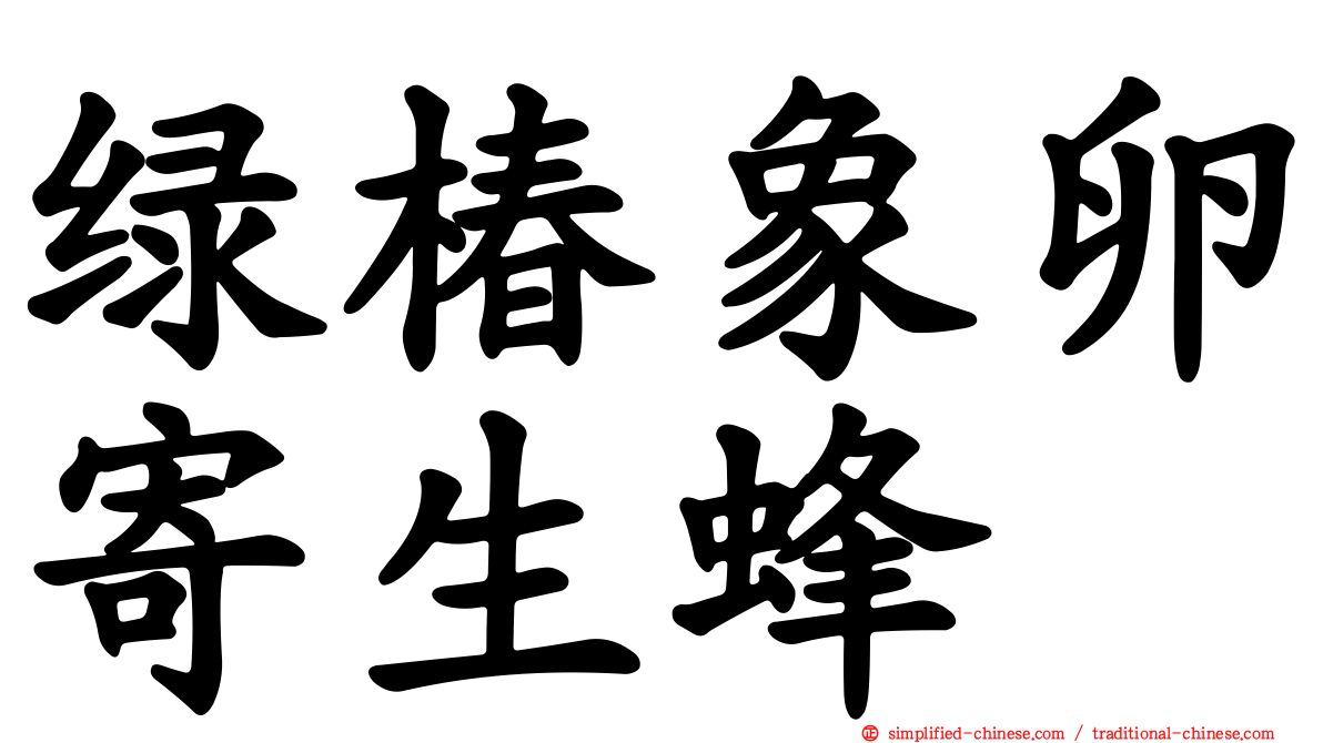 绿椿象卵寄生蜂