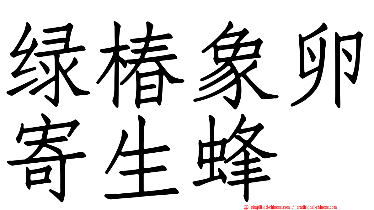 绿椿象卵寄生蜂