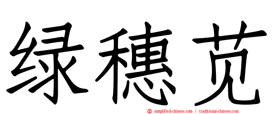 绿穗苋