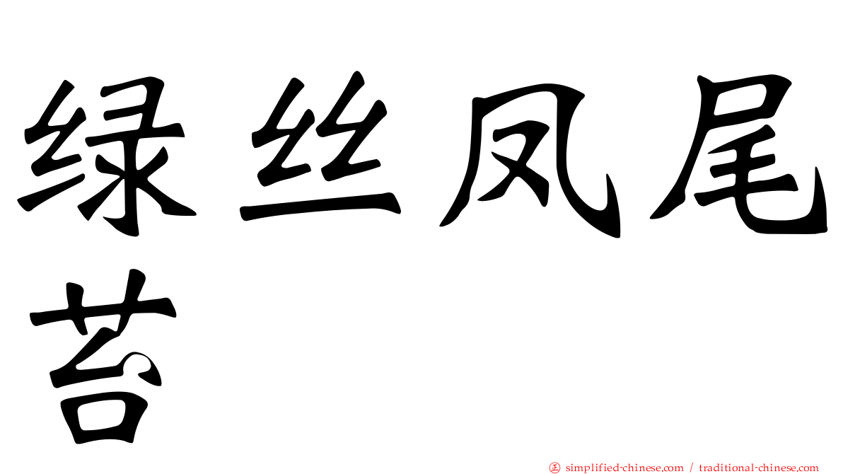 绿丝凤尾苔