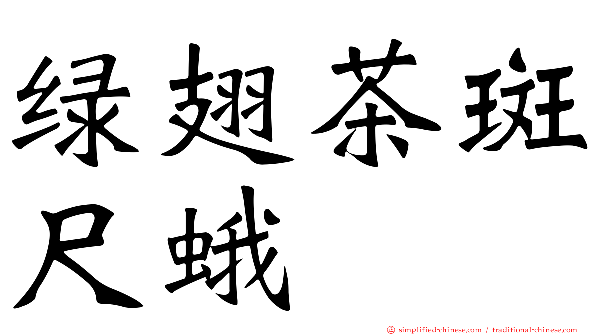 绿翅茶斑尺蛾