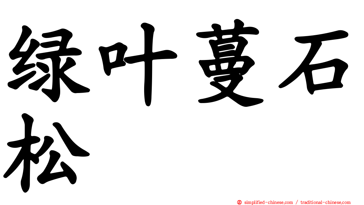 绿叶蔓石松