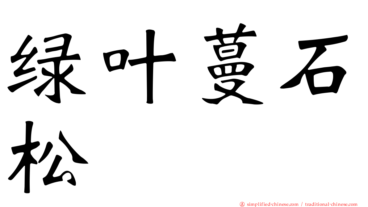 绿叶蔓石松