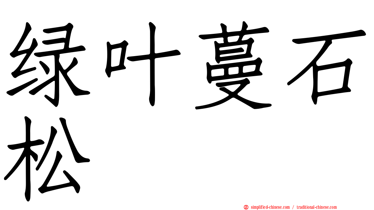 绿叶蔓石松